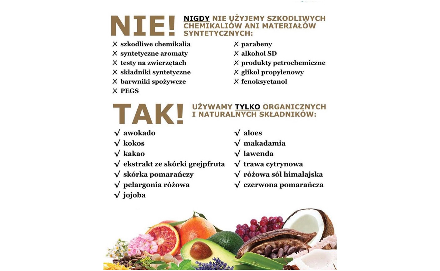 Poznaj główne składniki naszych kosmetyków